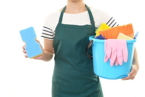 Detailed end of lease cleaning in a Camberwell apartment