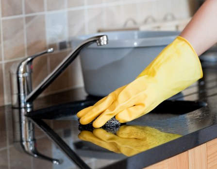 Professional cleaners beginning a detailed cleaning service in Camberwell
