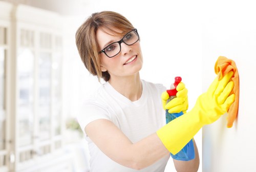 Detailed window cleaning service for flats and period homes in Camberwell