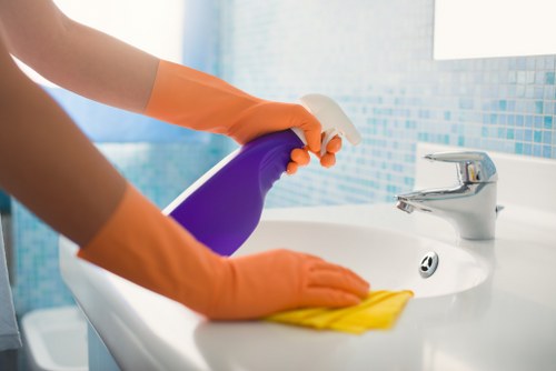 Experienced Camberwell cleaners delivering a polished and hygienic result