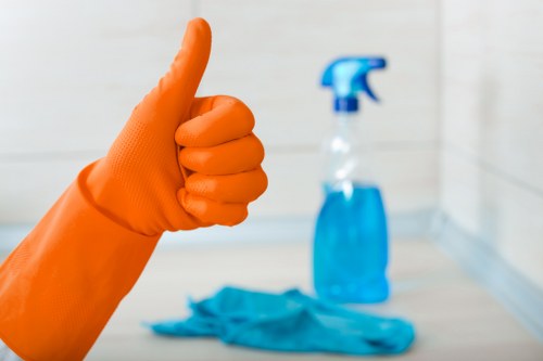 Local upholstery cleaner working in a Camberwell apartment