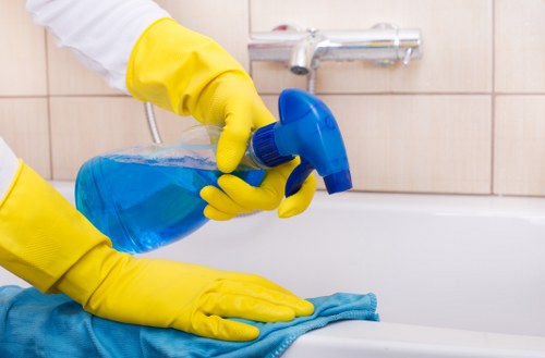 Professional regular cleaning in a Camberwell apartment
