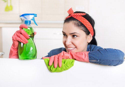 Deep cleaning equipment used for pet odour removal in carpeted room